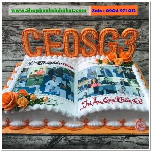 Bánh Sinh Nhật Cuốn Sách - RT47